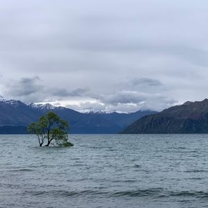 Meet your Posher, Sha